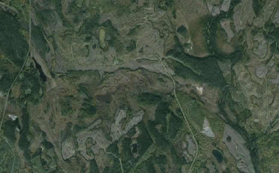 Skog 1.png