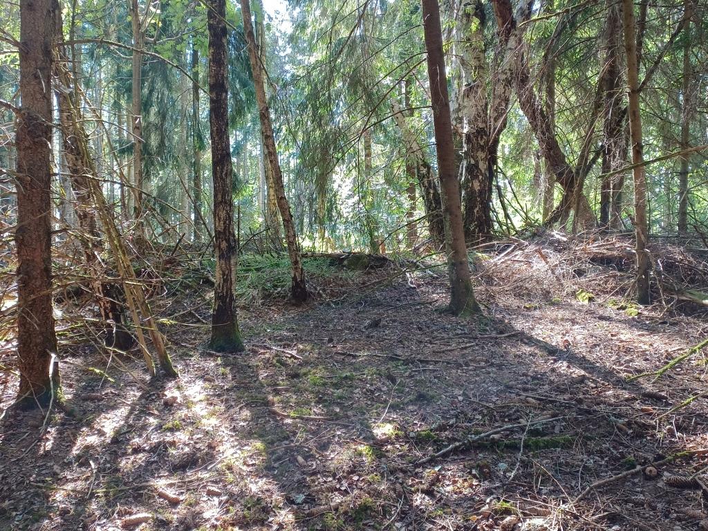 Marsön5.jpg