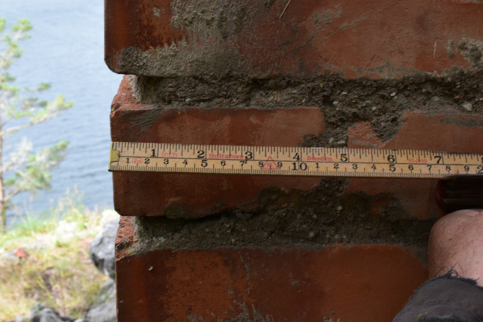 DSC_2514.JPG