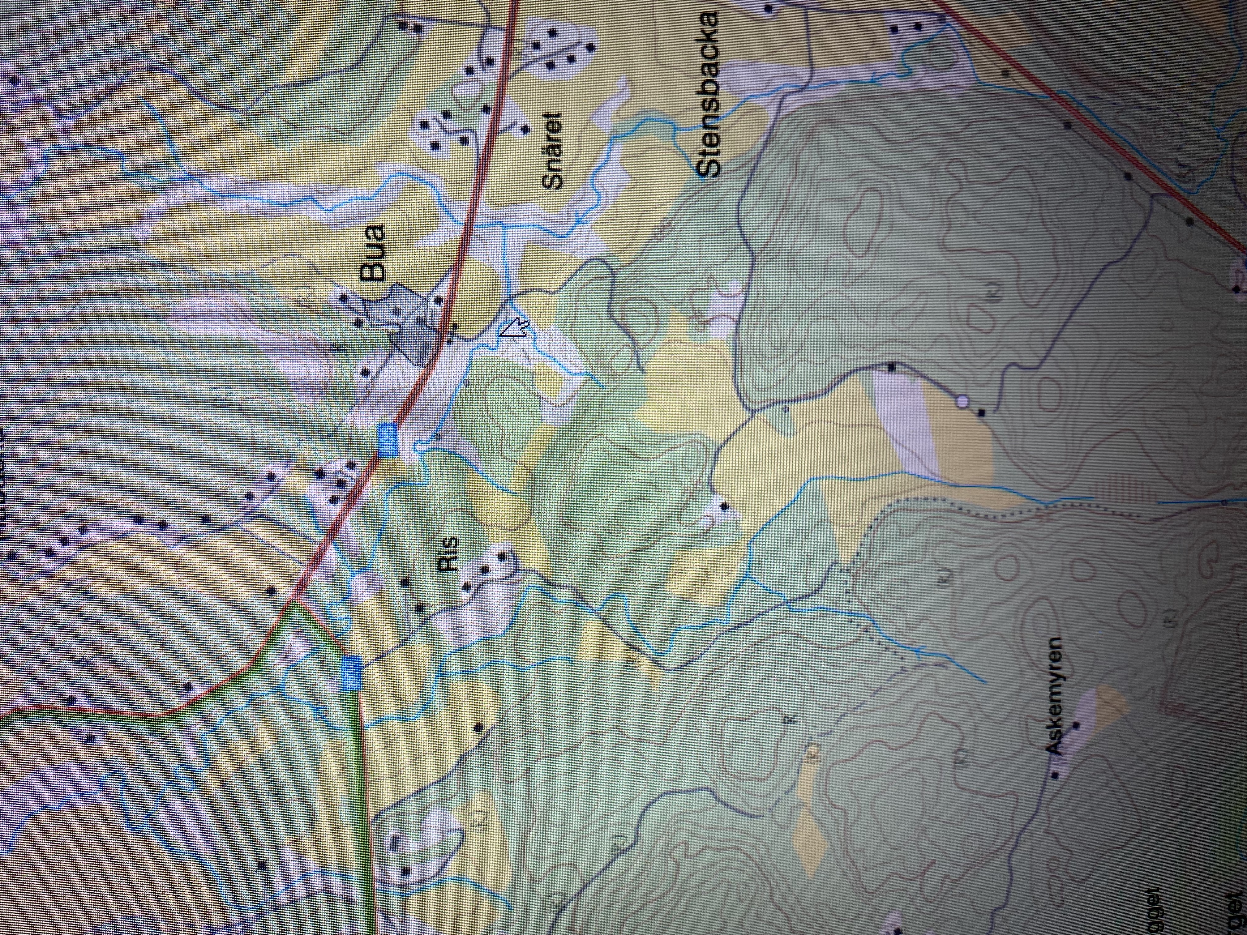 B33B5715-877B-45A9-B8CA-E3EE4743FD96.jpeg