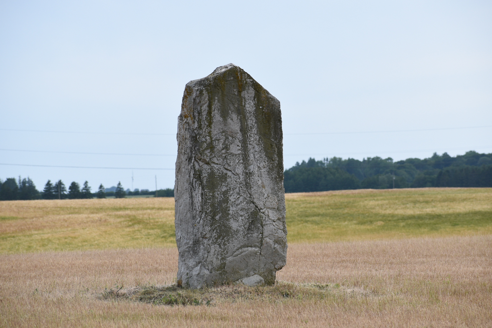DSC_4295.JPG