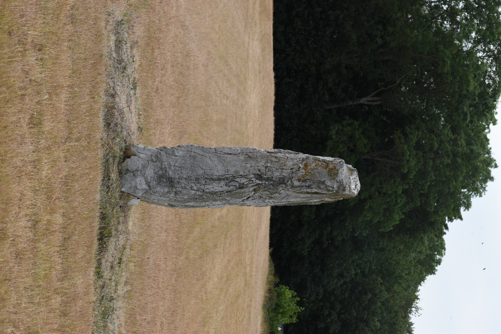 DSC_4296.JPG