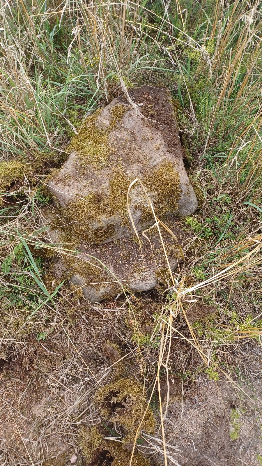 20230725_144742.jpg