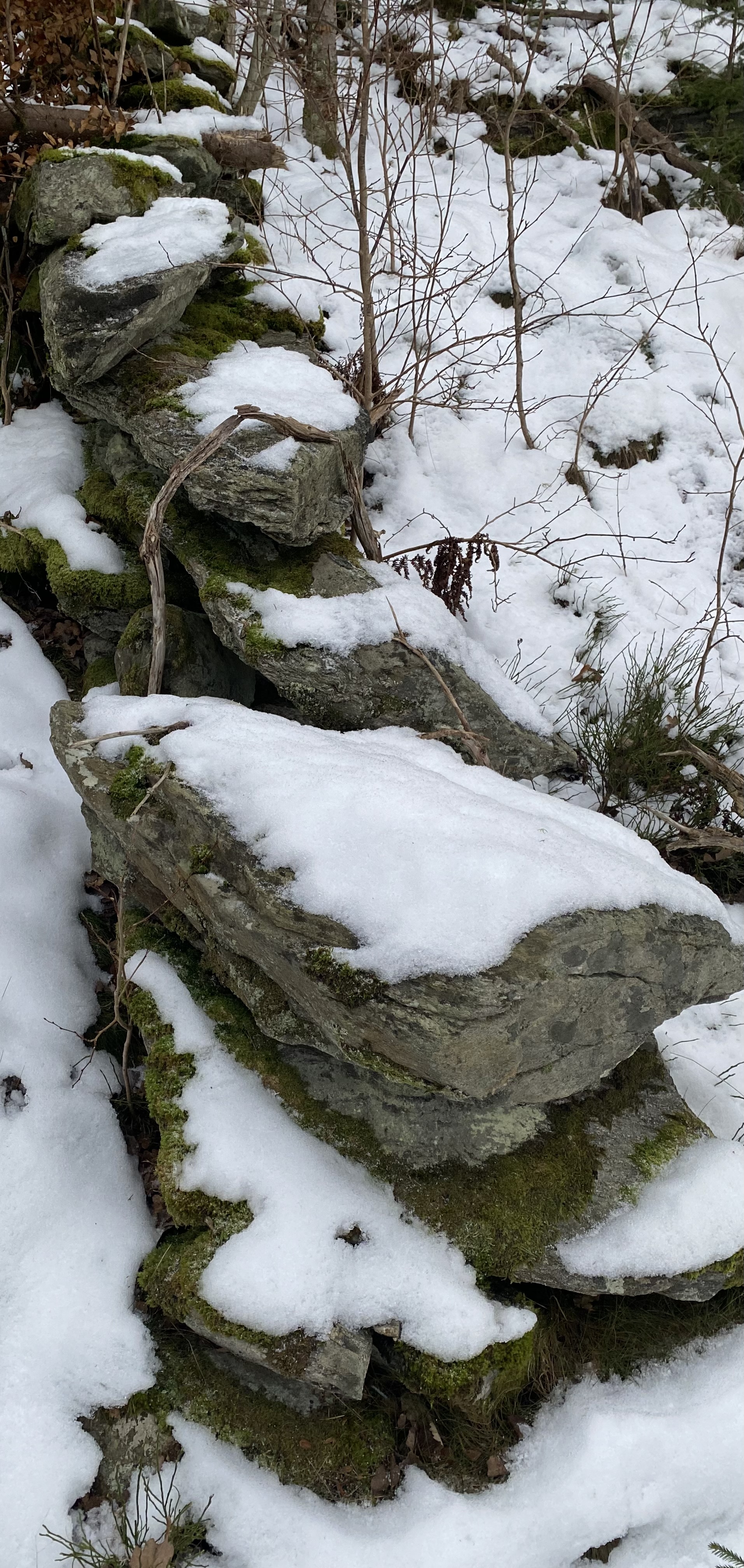 IMG_9265stenblock.jpeg