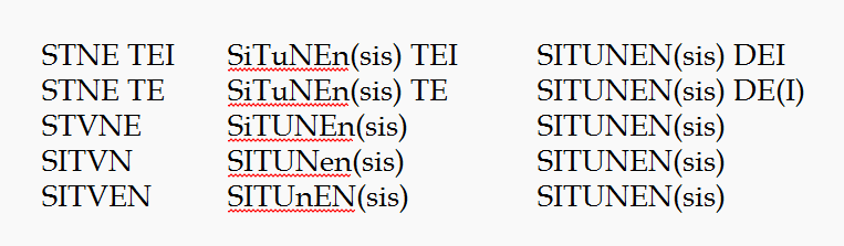SITUNENsis_Skärmbild 2025-01-09.png