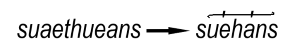 suaethueans.png