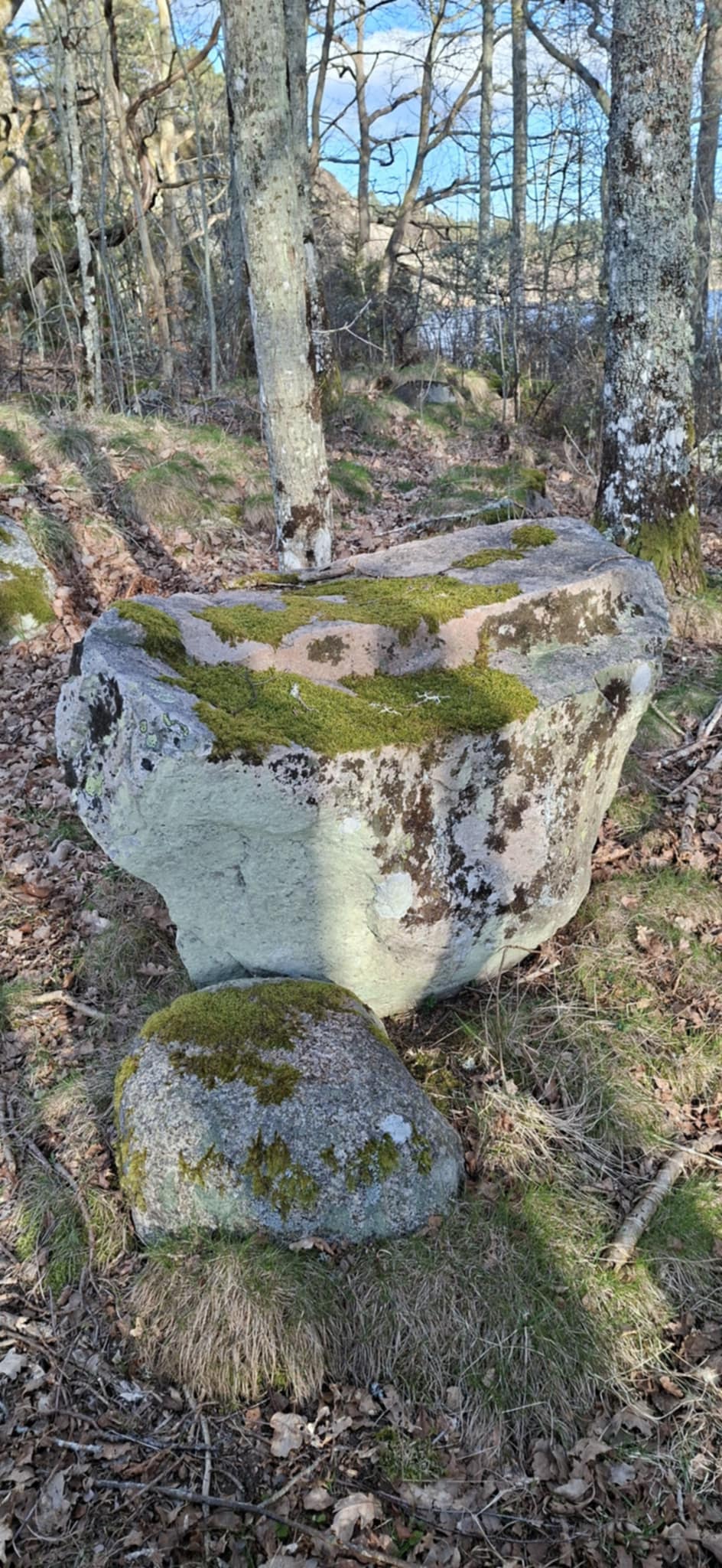 DragsmarkKatrineberg.jpg
