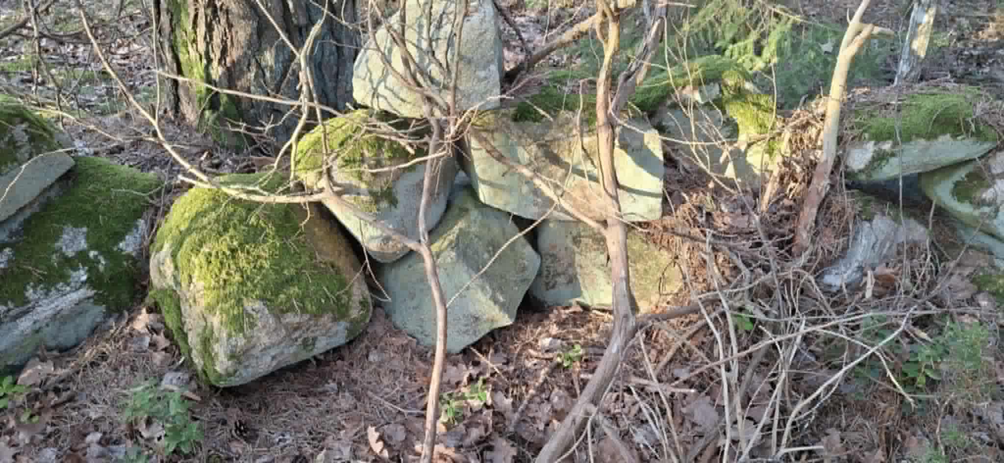 Dragsmark6.jpg