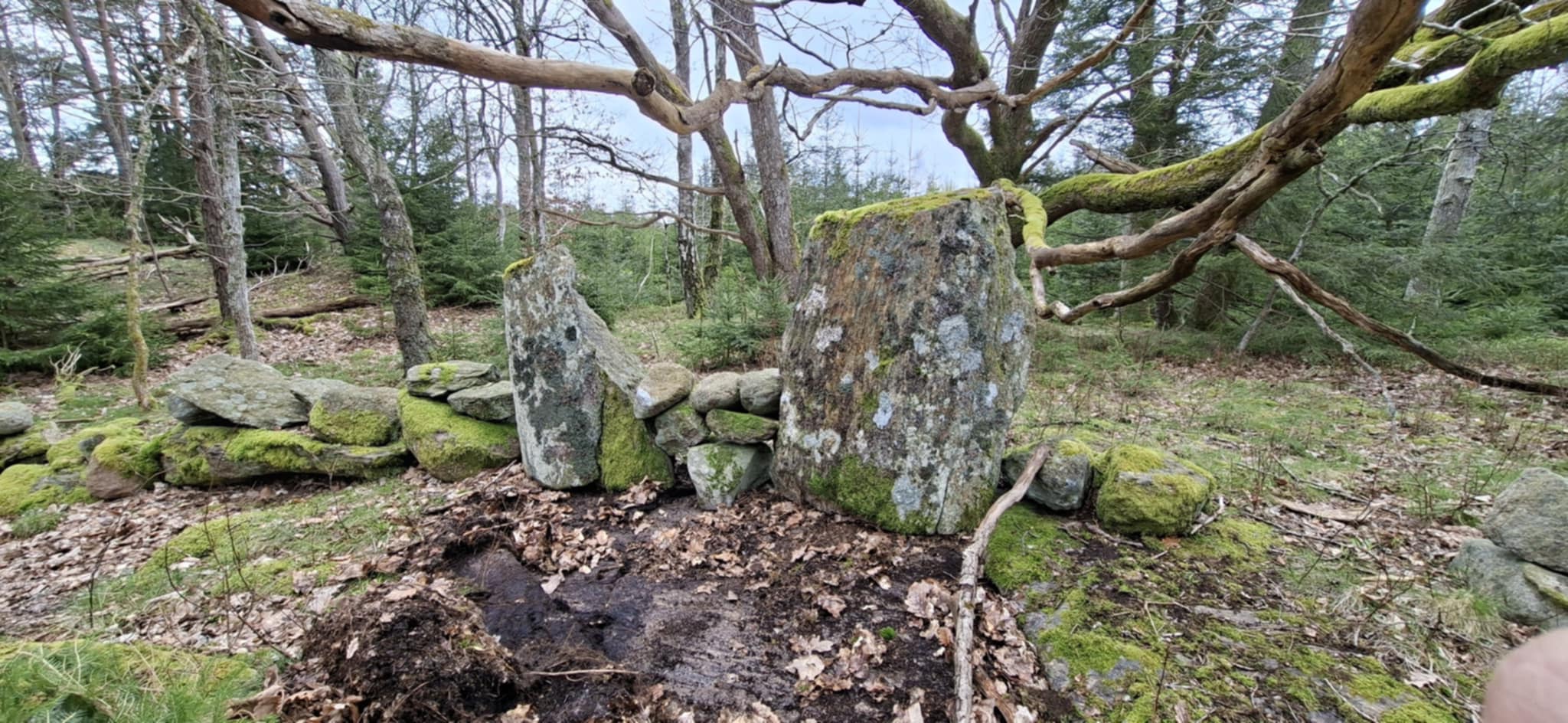 roskillde5.jpg