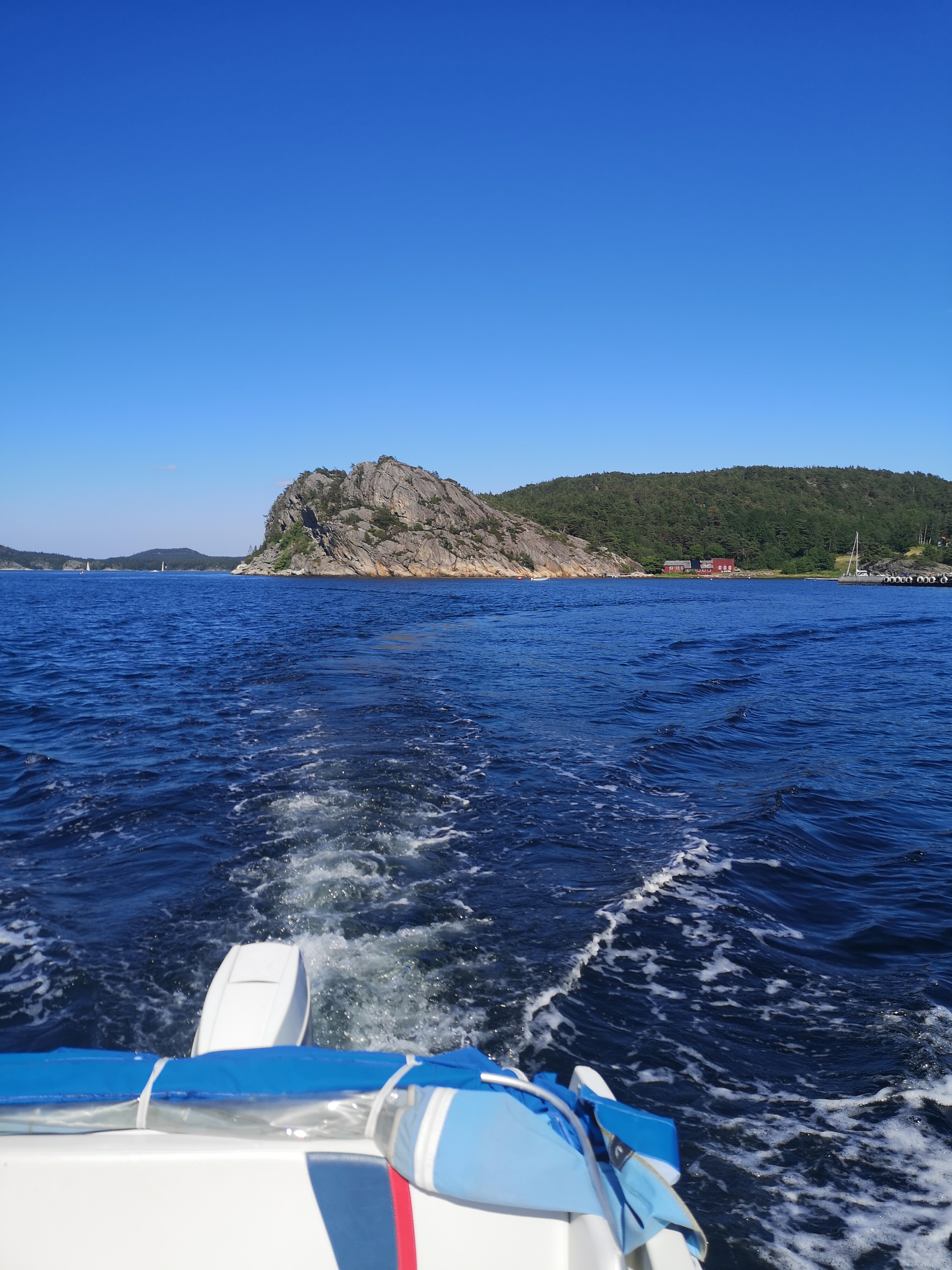 IMG_20210703_161557.jpg
